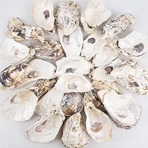 QEQEKAKA 30PCS Oyster Shells Flat & Concave 4"-5" Large Oyster Shells for Crafts Natural Oyster Shells Bulk, for Home Vase Filler, Xmas Ornaments, DIY Arts and Crafts Sea Shells