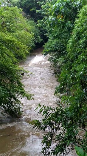 巴山夜雨漲秋池