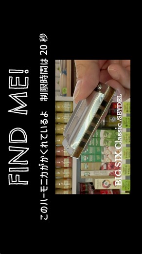 29.ハーモニカど〜こだ？ #ハーモニカ #harmonica #ブルースハープ