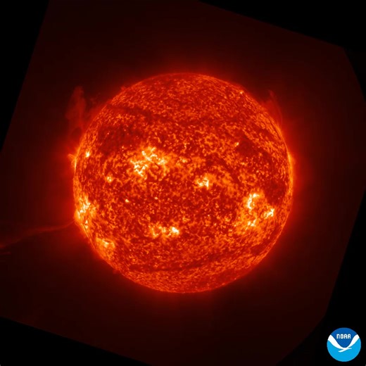 Our stormy sun released two spectacular solar prominences on August 20, 2025, and the Solar Ultraviolet Imager (SUVI) onboard NOAA's GOES West (GOES-19) satellite caught the eruptions. With the upcoming launch of NOAA's SWFO-L1 satellite, we’ll gain even more insight into these events to support the Space Weather Prediction Center's space weather forecasts. https://www.nesdis.noaa.gov/swfo-l1 | NOAA Satellite and Information Service