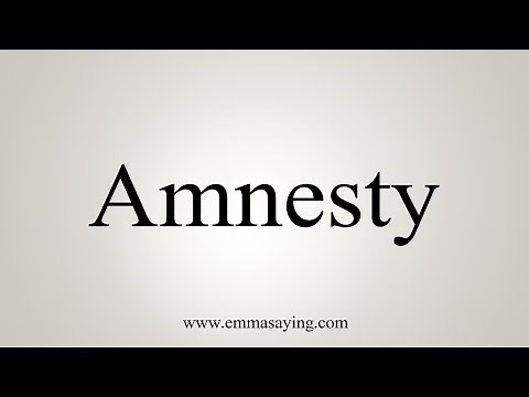 How To Say Amnesty