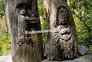 Pohon Dengan Lonceng Uang, Styrax Jepang, Styrax Japonicus 🌿 Semua Tentang Berkebun Dan Desain Taman - 2025