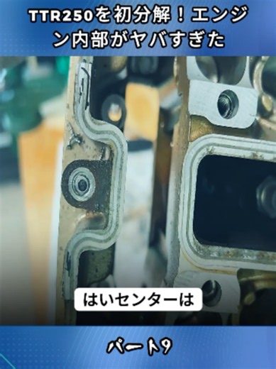 ノーメンテTTR250をエンジンOH：驚きの内部状態を公開
