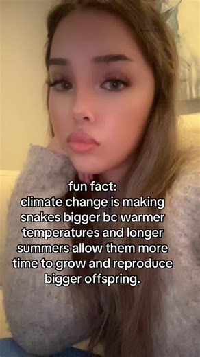 #scary #fact #horror #creepy #fyp | snakes