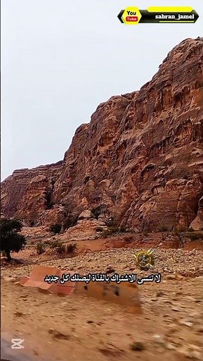 جمال الصحراء | جلسة نار في وادي عربة طبيعية خلابة #travel #nature