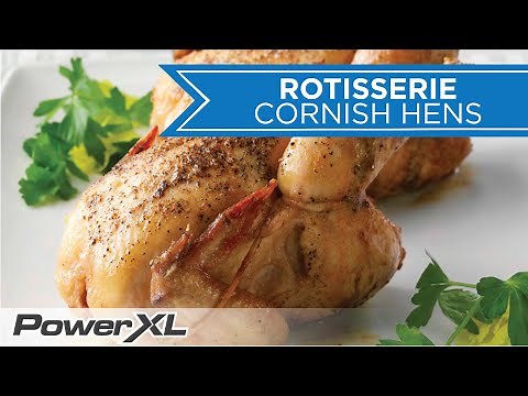Air Fry Cornish Hens The EASY Way | PowerXL Air Fryer Grill Recipes