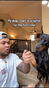 864K views · 35K reactions | That’s enough fire for today…  | Suavexavier | Facebook