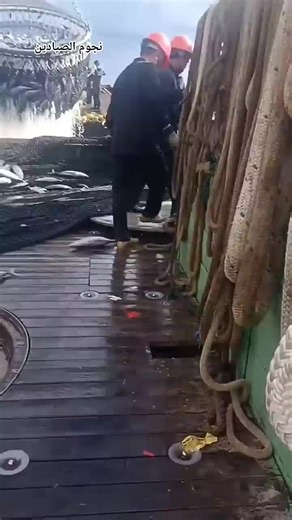 Exploring the Mysteries of the Ocean