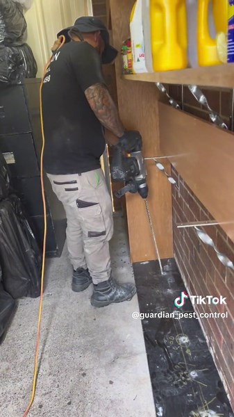 #sydneyaustralia #westernsuburbs #guardianpestcontrol #guardianteam #fyp #foryoupage #pestcontrol #insects #safety #safetygear #safetyfirst #chemicals #clean #pestcontrolprofessional #pestmanagement #bugs #happyclients #pestlife #sydneypestcontrol #pestcontrolservice #liverpoolnsw #fairfieldnsw #bossleypark #wetherillpark #edensorpark #oranpark #denhamcourt #kempscreek #parramatta #merrylands #greystanes #pestcontrol #pestcontroller #pestcontrollers #termitescontrolservices #sydney #sydneynsw #t