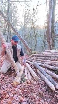 Cozy Wilderness Cabin Build | Bushcraft Skills #bushcraft #logcabin #survival #offgrid #camping