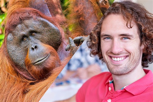 What's the difference between humans and apes? And when did we first appear? | Discover Wildlife