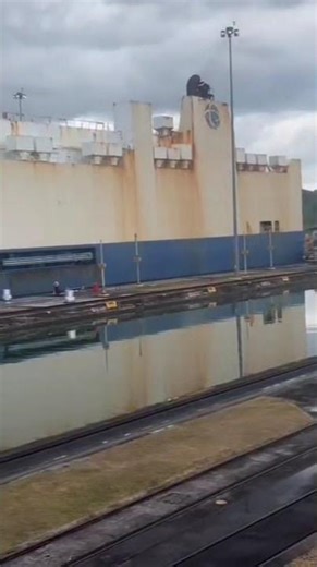 Panama canel #panama