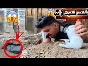 البحث عن الأرانب🐇شوفو شكد لكيت بلجحر😱فقس بط البطريق