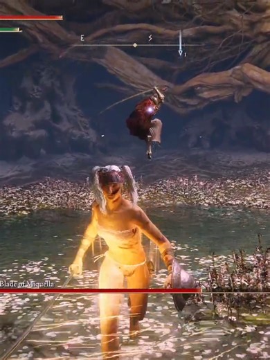 Malenia No Hit Phase 1 Strategy Guide