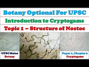 Nostoc: Structure of Nostoc: Heterocyst: Nostoc Colonies: Compound Colonies: Lichens: Anthoceros Video Lecture | Botany Optional for UPSC