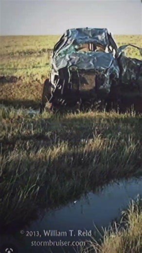 El reno tornado. RUN