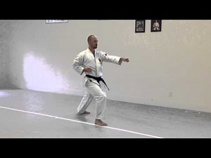 Age Uke, Gyaku Zuki (back) | IKD Testing Syllabus videos | Shotokan Karate 2013