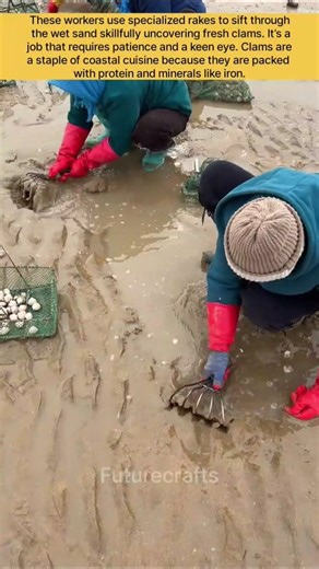 Fresh Catch Traditional Clam Digging