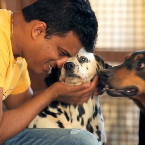 133K views · 6.3K reactions | Help Animals Matter to Me (AMTM) finish...