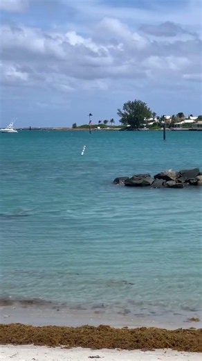 Beautiful Day at Peanut Island | Palm Beach Inlet Views 🌴🌊