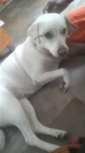 #funny #గరికపాటి matalu 💐👏