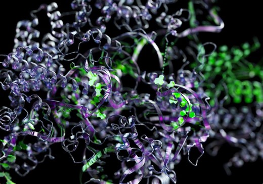 Low-Complexity Domains of Proteins Work Honored with Lasker Award