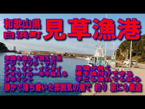 #224和歌山県見草漁港国道42号紀勢自動車道無料区間道の駅くちくまの南紀白浜IC袋漁港富田川郵便橋串本方向見草崎椿温泉みおすじ澪筋魚が溜まり魚が釣れる水深浅い藻場イカ墨跡多数アオリイカの一級ポイント