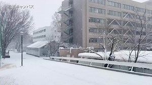 信州大学 深雪のキャンパス