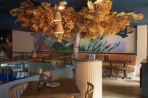 First look inside Zizzi Italian restaurant in Sheffield following extensive refurbishment