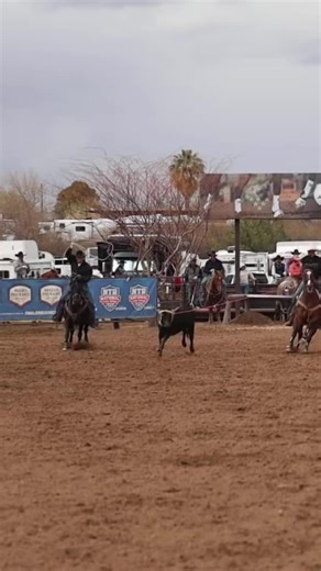 Smooth operators only. 😎 Good horses, quiet hands, and teams that makes it look easy. When the loop goes on smooth and the run comes together, that’s the moment we live to capture. Team roping hits different when everything just flows. If your run feels smooth, your media should too. 📸🎥 Ranchy Redhead Media Co. #SmoothOperator #TeamRoping #RanchoRio #RanchyRedheadMedia #WesternMedia