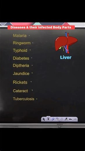 Diseases & their infected Body parts