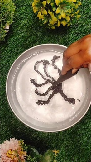 chocolate hack tree#shortsvideo #youtubeshorts #chocolate #hack