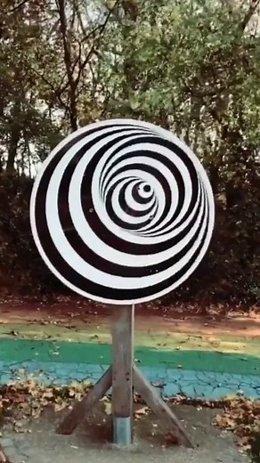 Were u expecting that?(Be honest.) It’s called the Kinetic Depth Effect & it looks 3D when it’s spins! What do u see? #illusion #opticalillusion #fyp