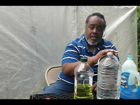 How to Make Insecticidal Soap