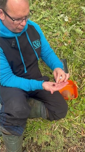 Wrap Paste around your hook bait when Carp, Barbel or Catfish Fishing for Great results #riverbarbel