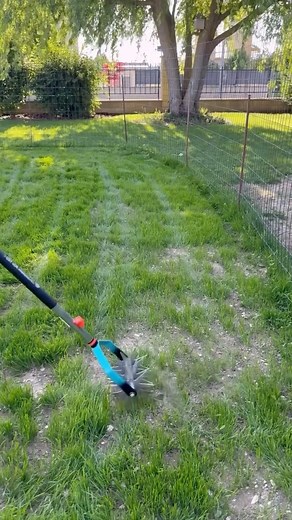 Tu viens de semer ton gazon mais tu aperçois pas mal de trous où le gazon a du mal à pousser, on voit ensemble aujourd’hui, quels sont les étapes pour regarnir sa pelouse et avoir un beau tapis verdoyant ! #jardin #gazon #lawn #renovation #vert #pelouse | Nico’Jardin 🌱🌻☀️🏡