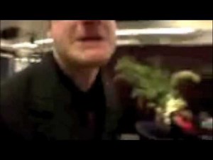 Green Day Funny Moments