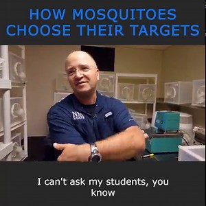 58K views · 1.4K reactions | Are You Prone to Mosquito Bites? It Might Be This... 烈 | Veritasium | Facebook