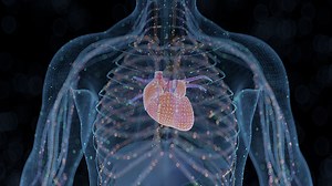 Improving Symptoms in Patients with HFrEF Using Novel Device Therapy