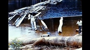 Suriname 1966 | Memories-Suriname