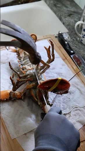 How To Make Baked Stuffed Lobster