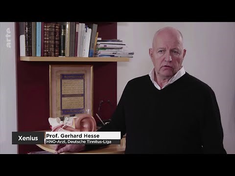 Acouphène-Hyperacousie: Le Professeur Hesse alerte sur les dangers du bruit blanc pour l’audition.