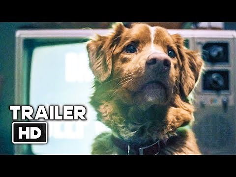 GOOD BOY Official Trailer (2025) Horror Movie HD