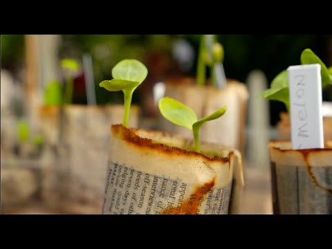 DIY Seed Starting Kit at Home!