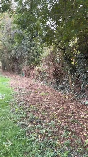 50 metre Hazel hurdle install  #gardening #fencing #smallbusiness #stratforduponavon #garden | TGW Gardening Services | Facebook