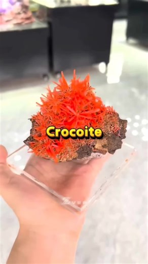 Crocoite: The Beautiful Yet Deadly Gemstone Explained