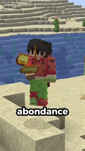 Pourquoi personne ne s'installe en Inde sur Minecraft ?