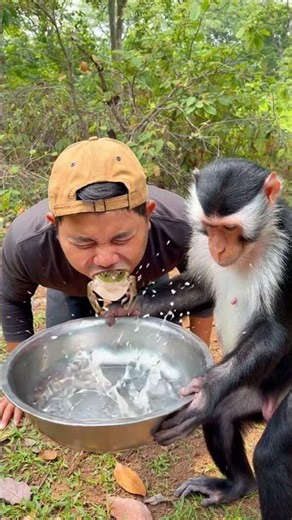 Survival skill - useful and funny with monkey part1