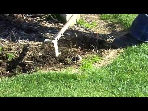 How to Use an Action Hoe (Best Tool for Easy Weed Removal)