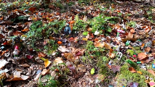 Thrills and teamwork in action! 🎉🧗‍♂️ Wirt County High School took on our zipline course and made memories that will last a lifetime. There’s nothing like soaring through the New River Gorge with your friends and classmates! 🌄✨ | ACE Adventure Groups